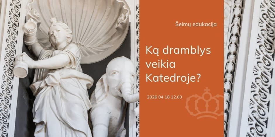 Šeimų edukacija „Ką dramblys veikia Katedroje?“