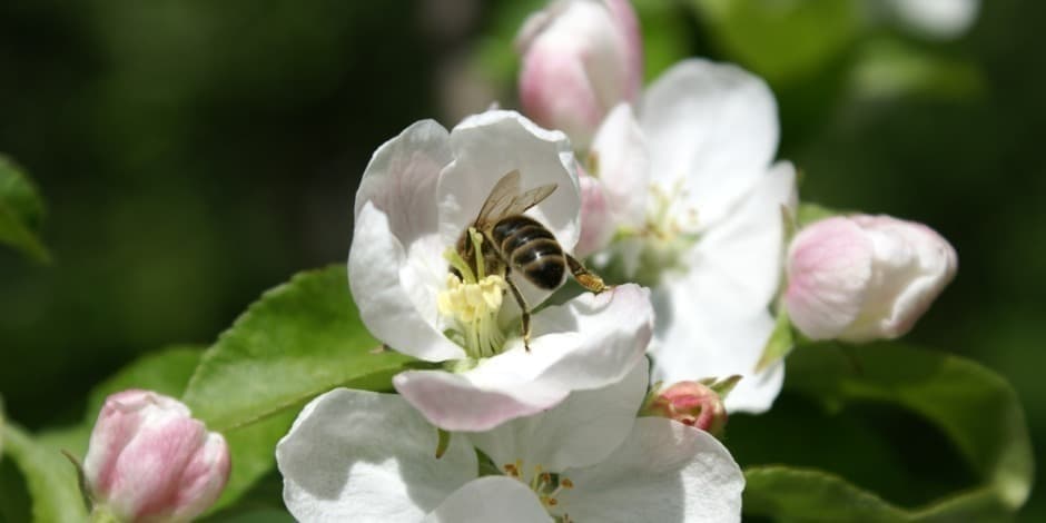 TIKĖJIMAS YRA KELIAS Į NAUJĄ GYVENIMĄ
