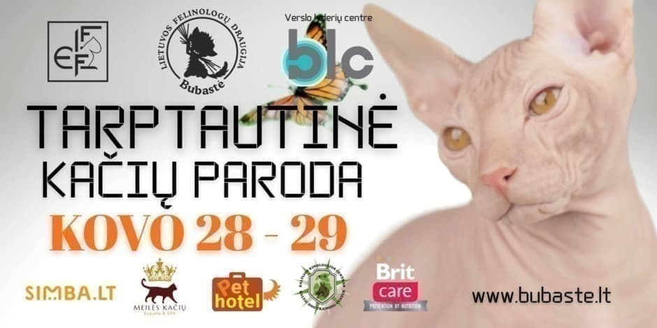 Tarptautinė kačių paroda „Kaunas spring show“